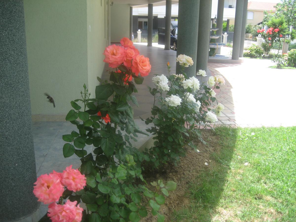 Guest House Vila Mimoza Ulcinj Exteriér fotografie